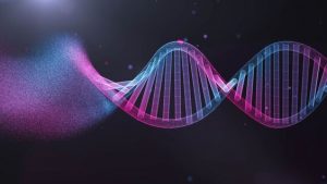 พบกุญแจไขปริศนาของยีนที่วิวัฒนาการอย่างรวดเร็วใน “DNA ขยะ”